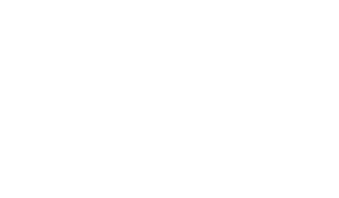 Alpinov X